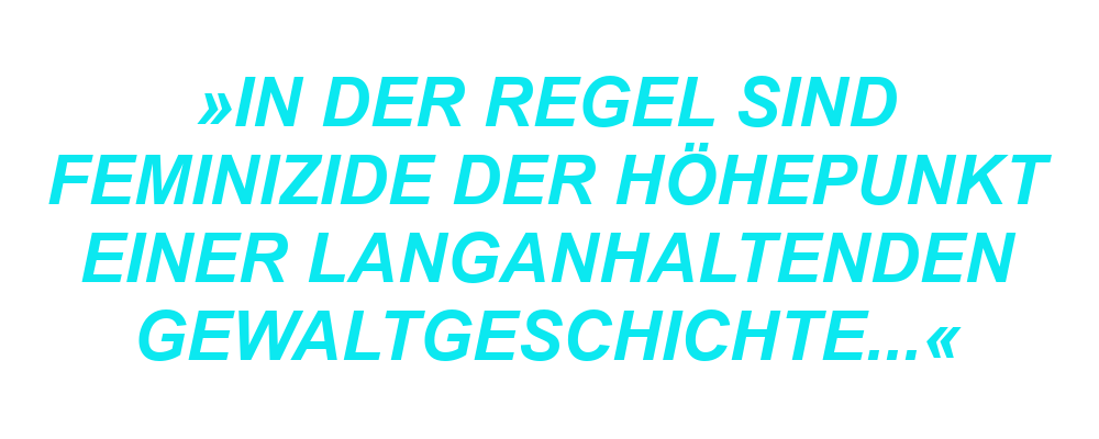 "In der Regel sind Feminizide der Höhepunkt einer langanhaltenden Gewaltgeschichte..."